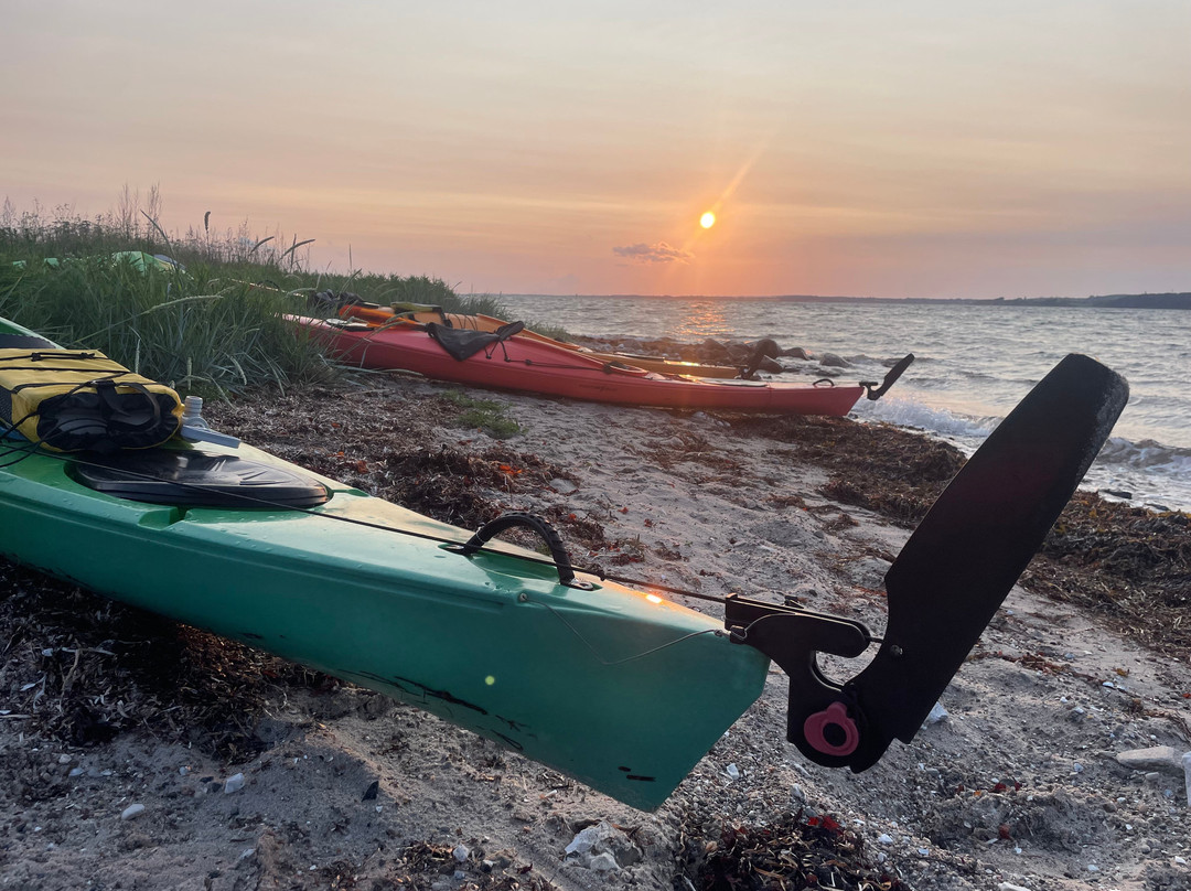 LifePlan Kajak & Friluftsliv-斯文堡必去景点