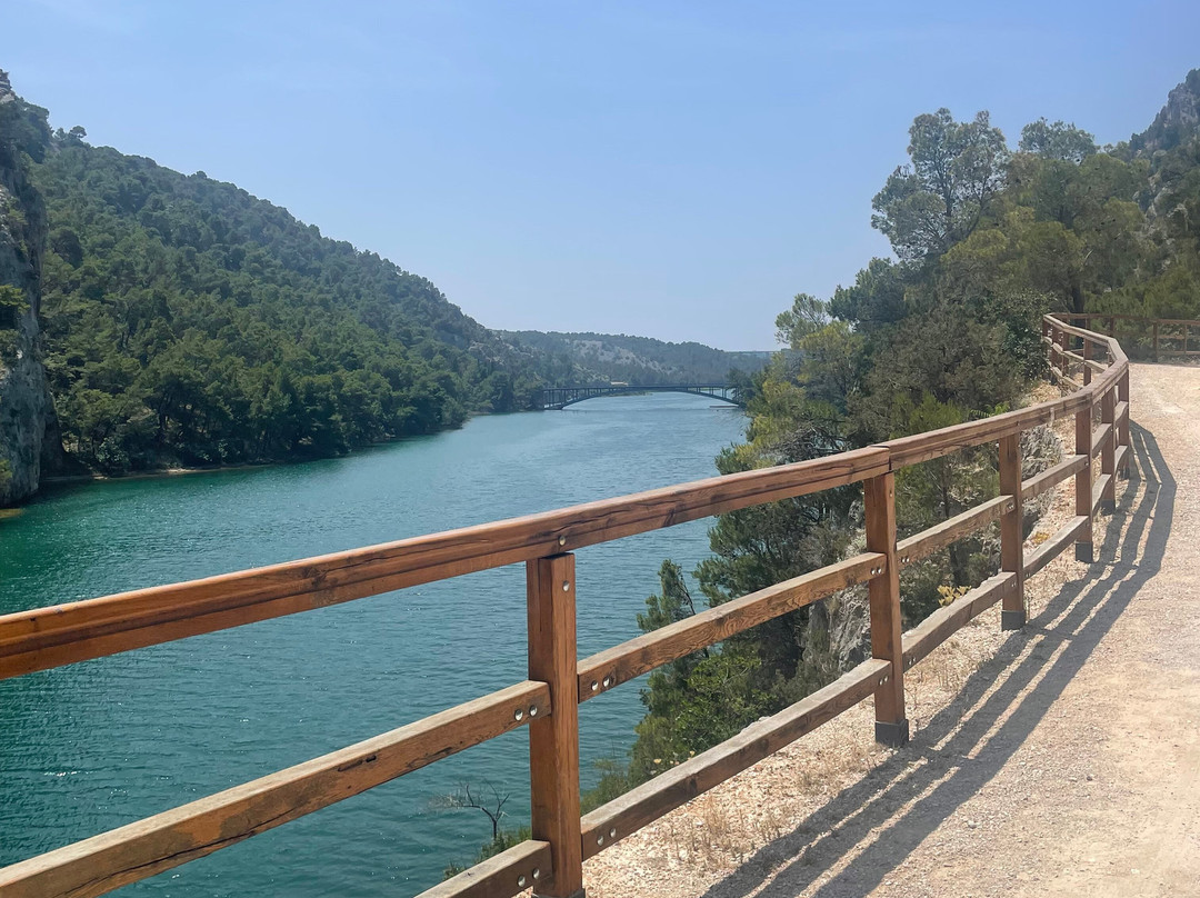 Riki Adventures Ebike Rental And Tours景点图片