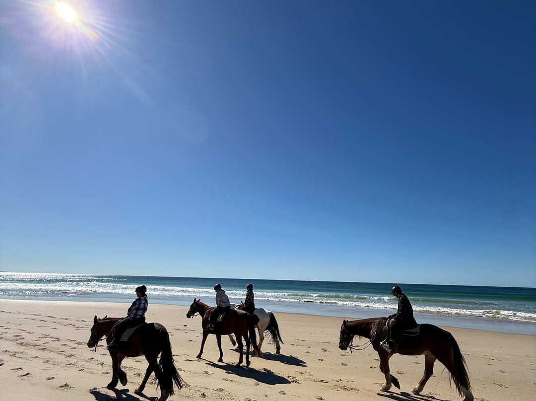 Noosa Horse Riding景点图片