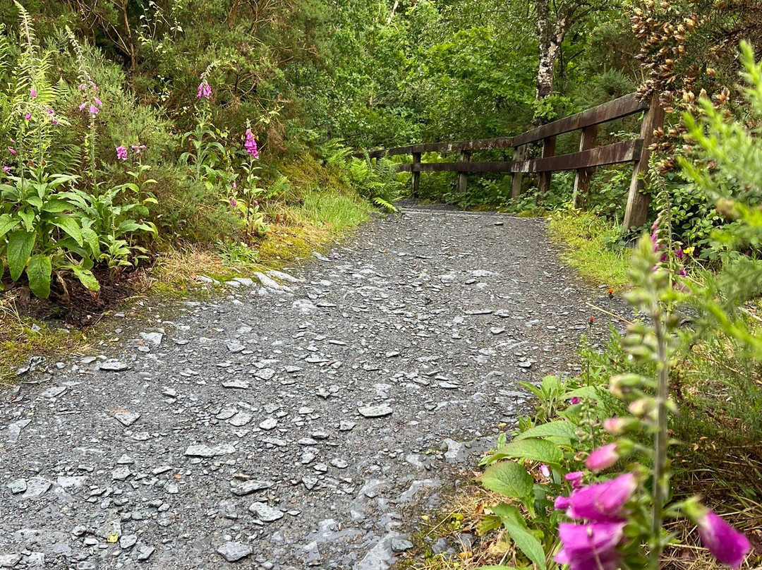 Loch Lomond Faerie Trail-拉斯必去景点
