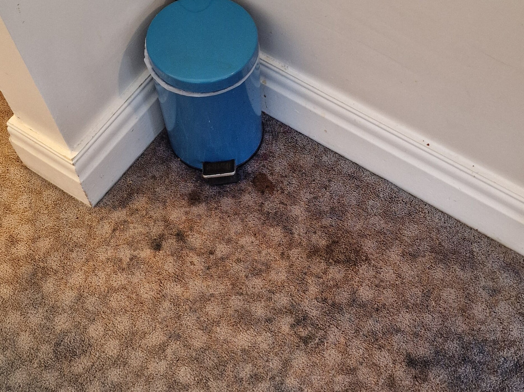 Travelodge Glasgow Cumbernauld主图