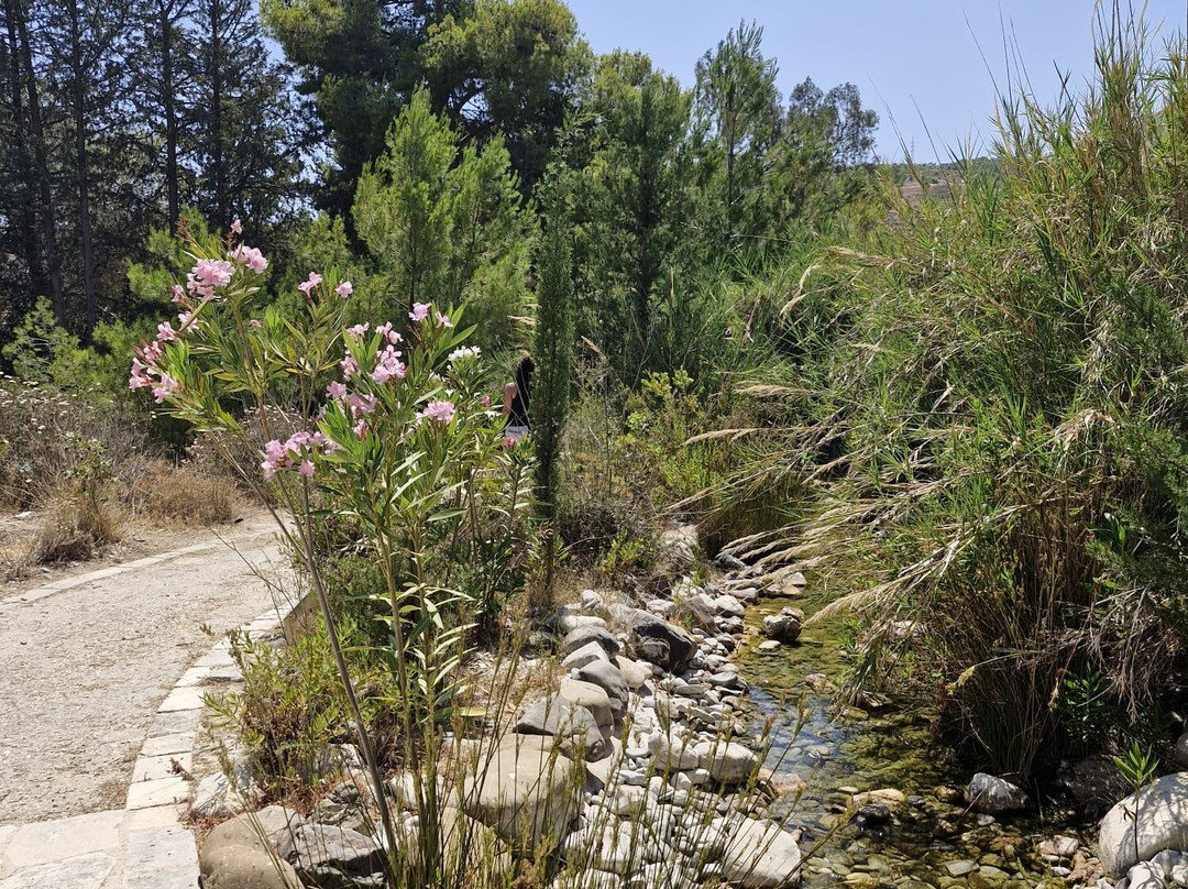 Episkopi Pafos Environmental Information Centre-Episkopi必去景点