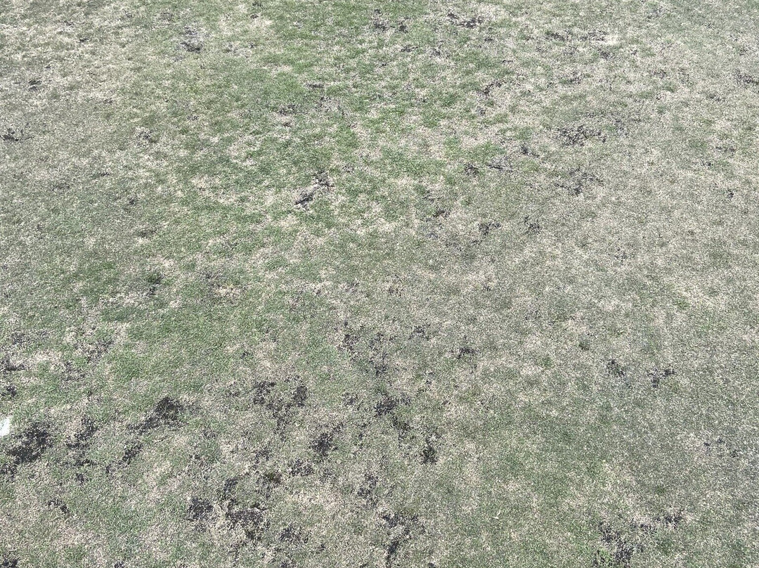 Matfen Hall Golf-Kirkharle必去景点