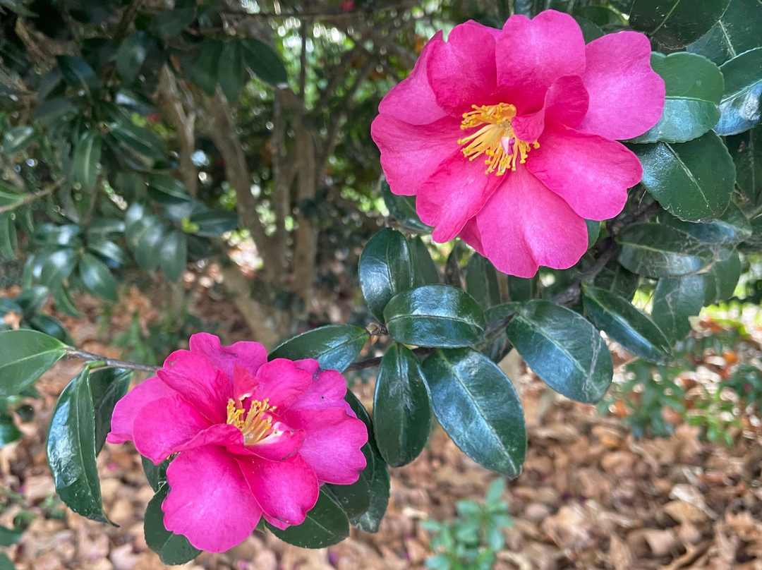 Nyerimilang Heritage Park-莱克斯恩特伦斯必去景点