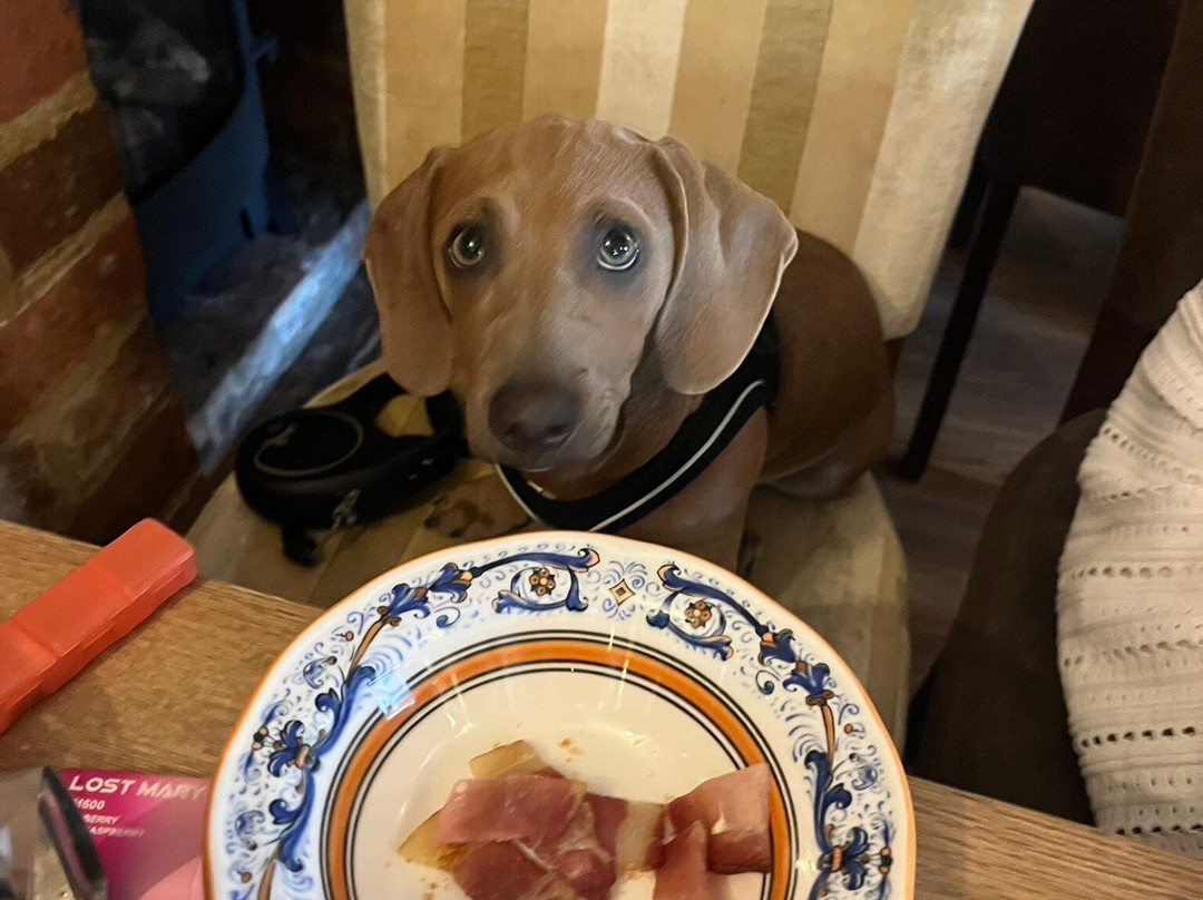 The Kings Head Inn主图