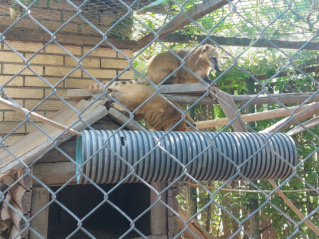 Skopje ZOO-斯科普里必去景点
