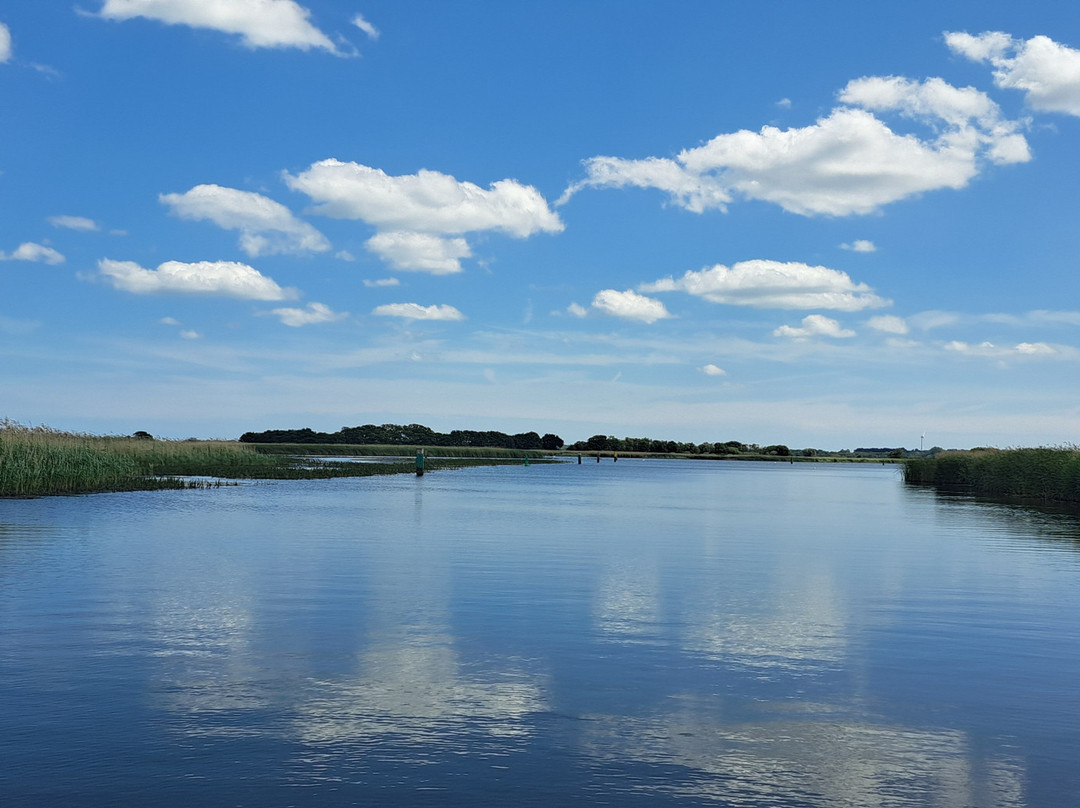 Ross' Wildlife Boat Trips-Mustard Hyrn必去景点