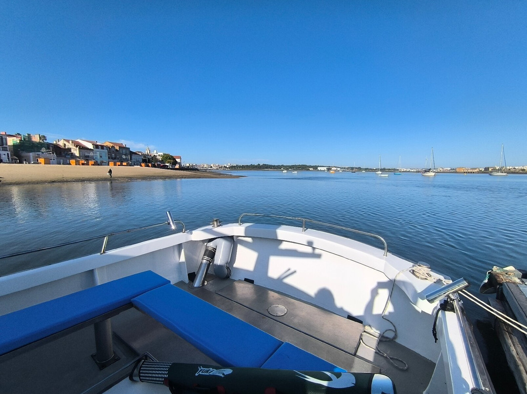 Boat Esmeralda Azul-里斯本必去景点