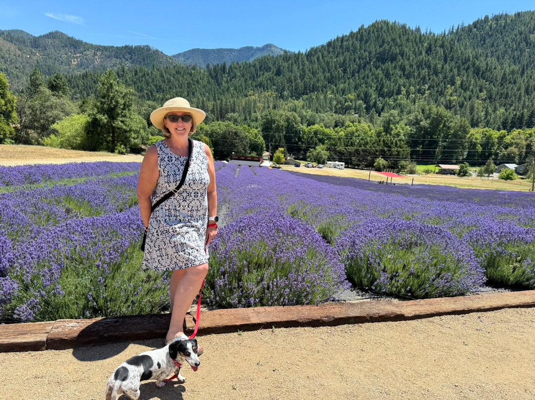 The English Lavender Farm-Applegate必去景点