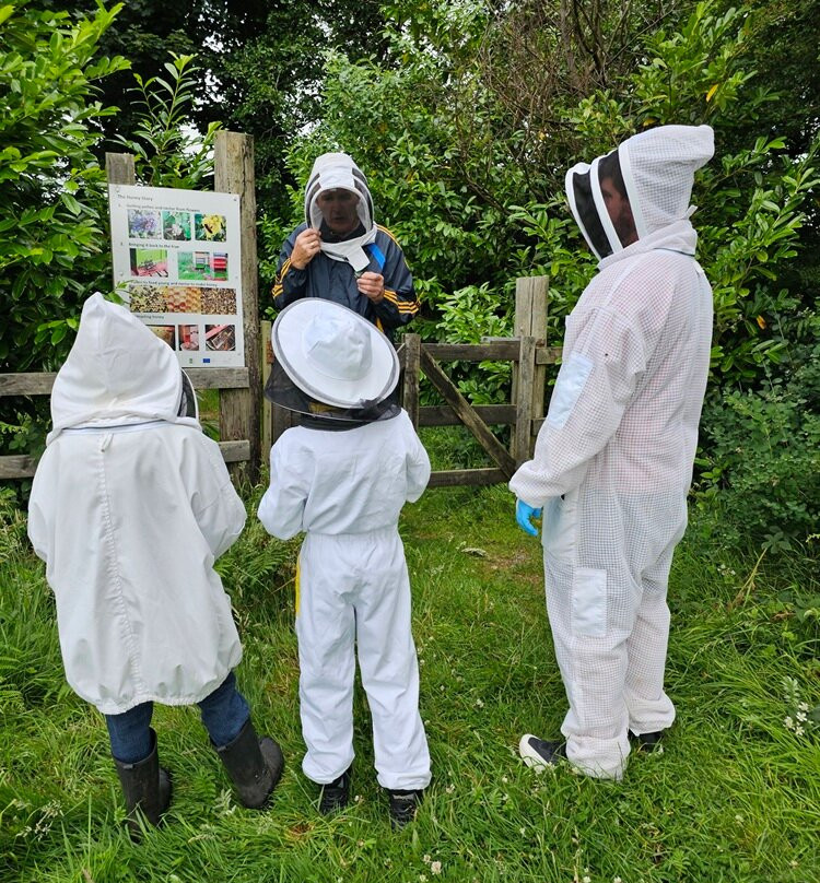 Killarney Bee Walks and Honey-基拉尼必去景点