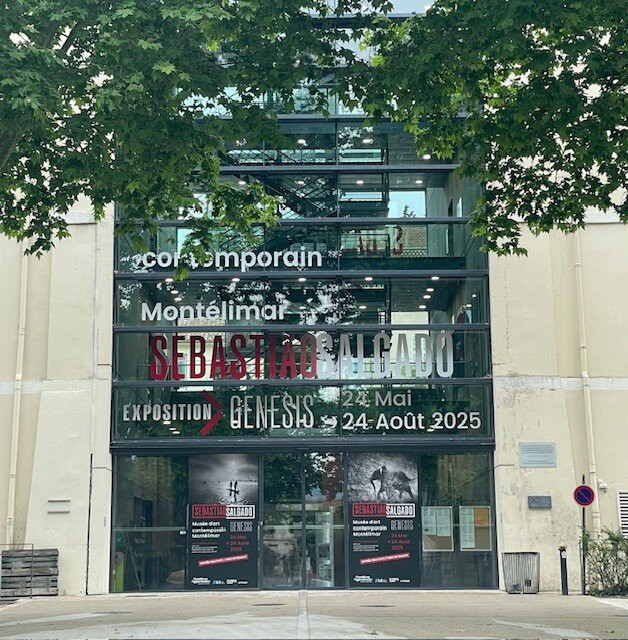 Musee D'art Contemporain-蒙特利玛必去景点