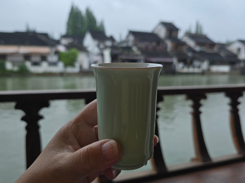 Hippo Tour Shanghai-上海市必去景点