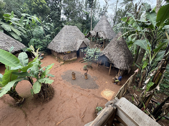 Materuni Coffee & Waterfalls Trail-莫西必去景点