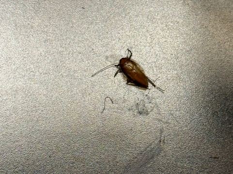 Residence Inn by Marriott Cleveland Independence主图