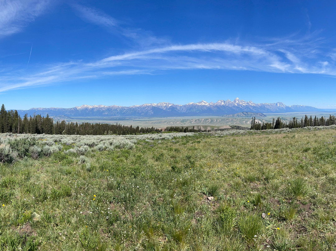 Scenic Safaris-杰克逊必去景点