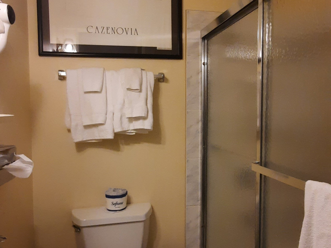 Lincklaen House主图