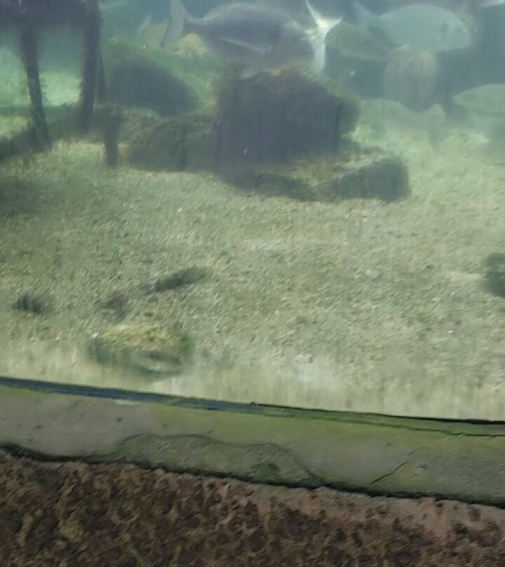Aquarium Marin De Tregastel-Tregastel必去景点