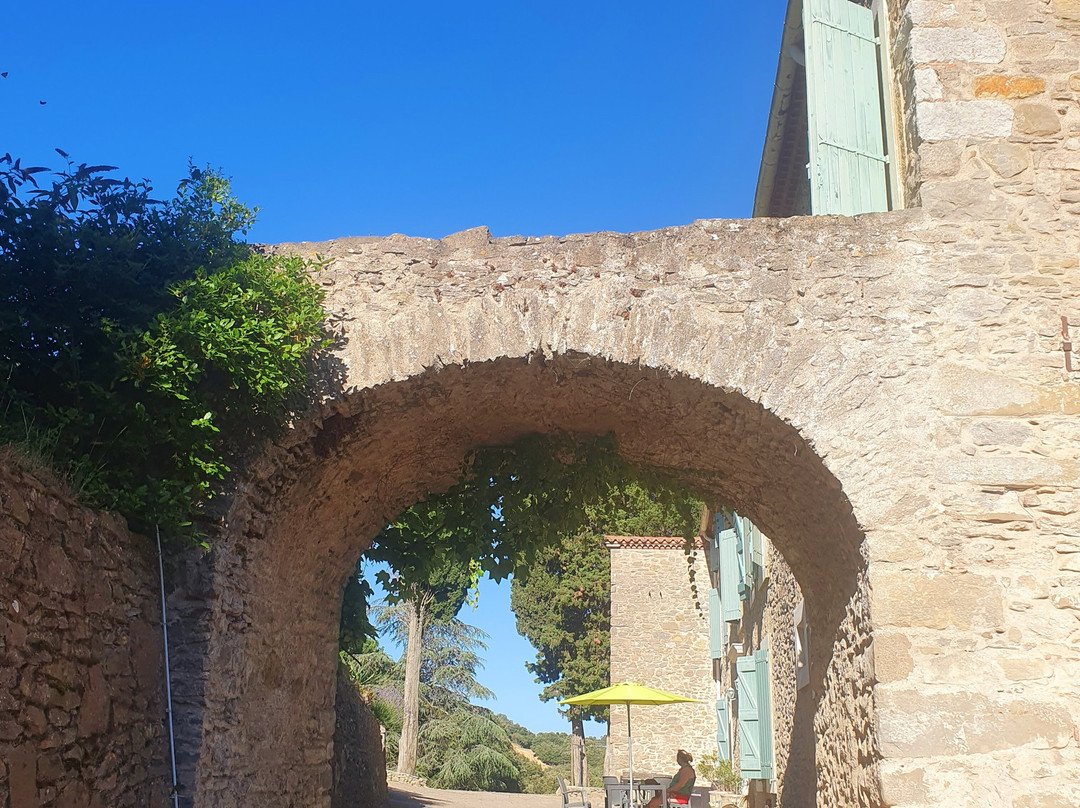 Domaine St Andrieu主图