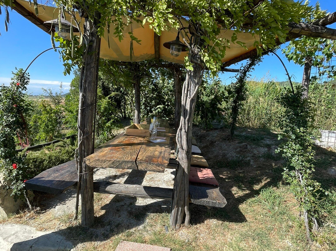 Gianni Moscardini Winery-Pomaia必去景点