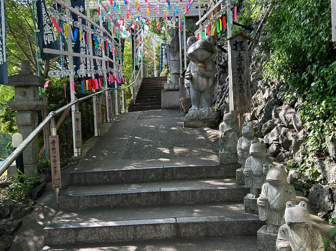 Rurizan Shobo-ji Temple-饭冢市必去景点