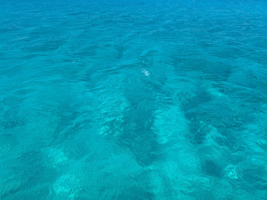 Christina Boat - Chrissi Island-Ierapetra必去景点