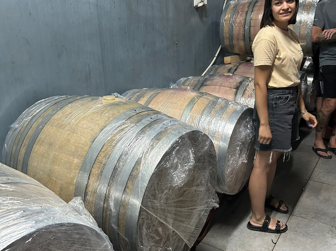 Klados Winery-帕诺尔莫斯必去景点