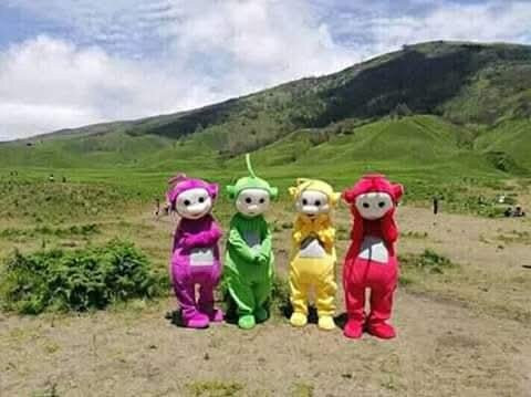 Bromo Driver-Besukcukit必去景点