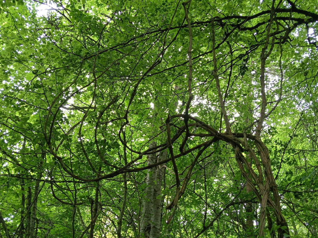 Hotel Rural La Casona主图