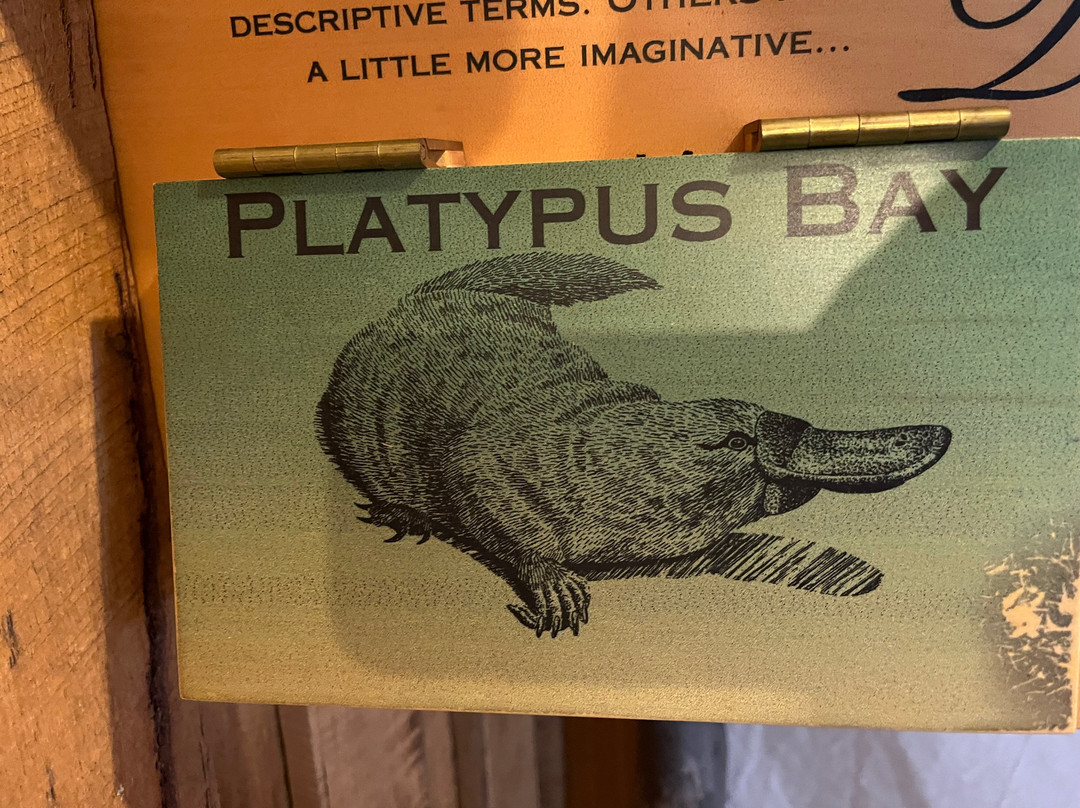 Lake St Clair Visitor Centre-摇篮山圣克莱尔湖国家公园必去景点