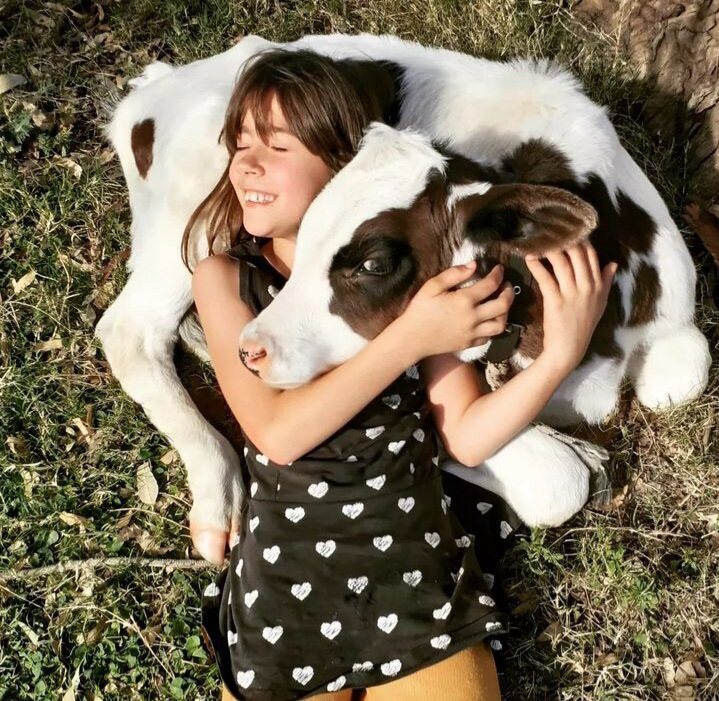 Granja Jacaranda-Carmelo必去景点