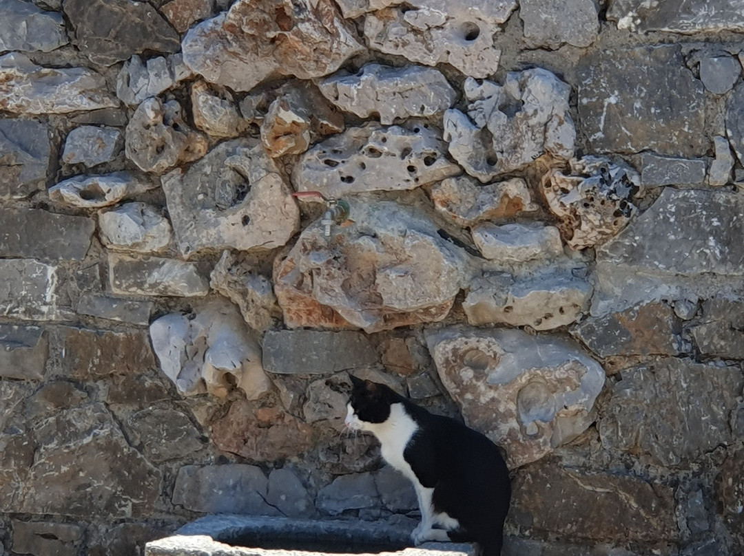 Lassithi Plateau-Lasithi Prefecture必去景点