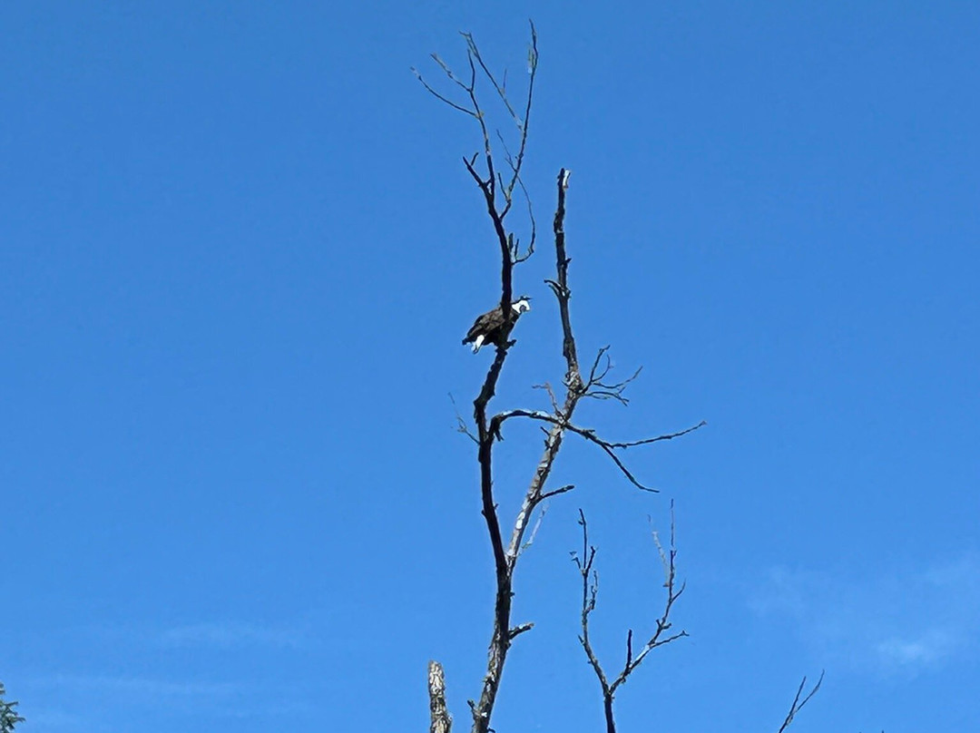 Titanic Canoe Rentals-Ontario必去景点
