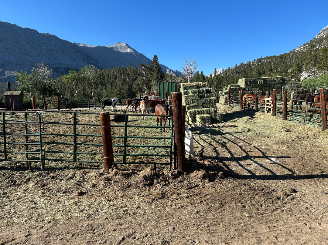 Rock Creek Pack Station-毕晓普必去景点