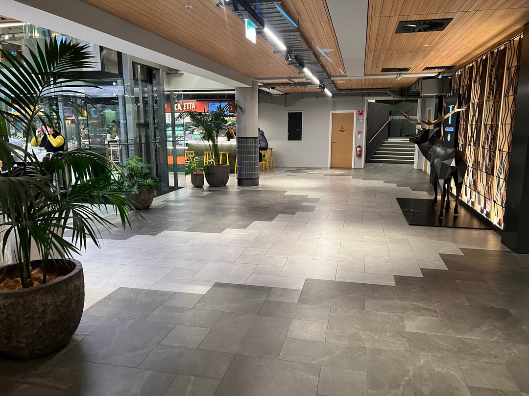 O'Connells Shopping Centre-皇后镇必去景点