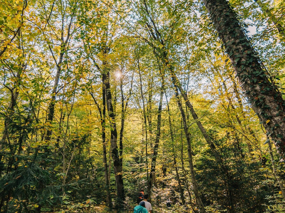Ambil Lake-Guba-Khachmaz Region必去景点
