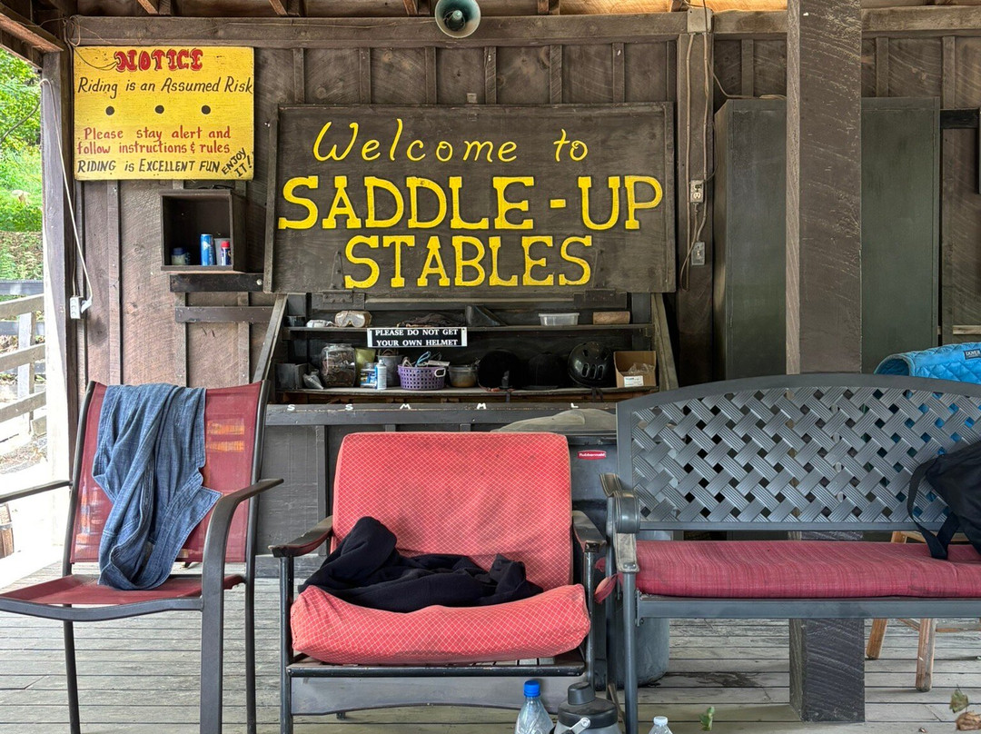 Saddle Up Stables-乔治湖必去景点