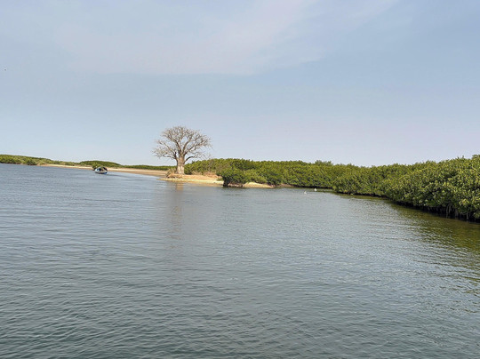 Les Îles Du Saloum-Dangane必去景点