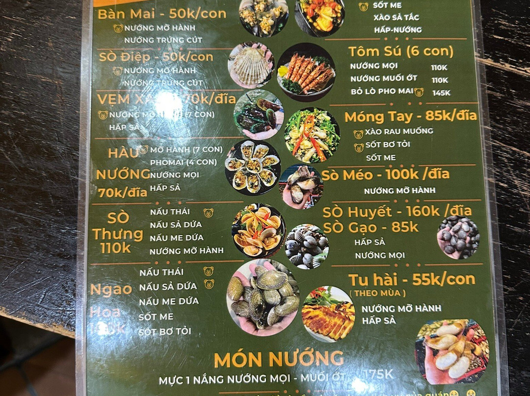Ốc Gấu - Hạ Long