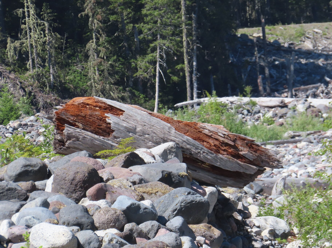 Wonderland Trail-雷尼尔山国家公园必去景点