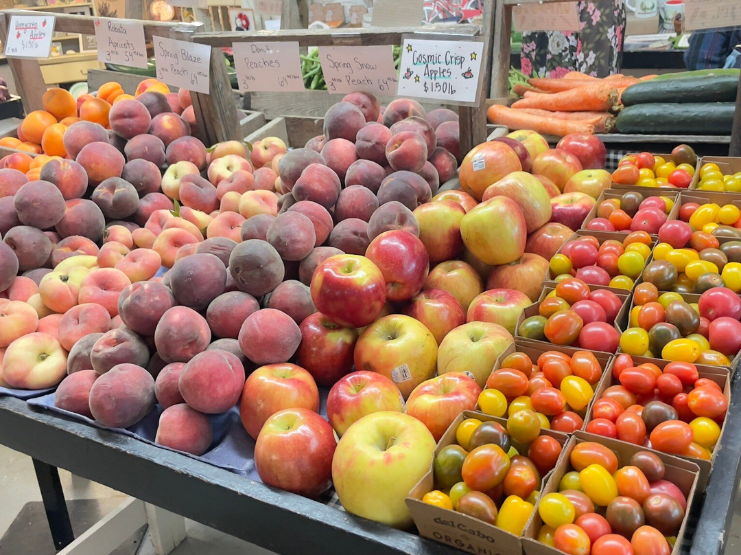 Schuh Farms-弗农山必去景点