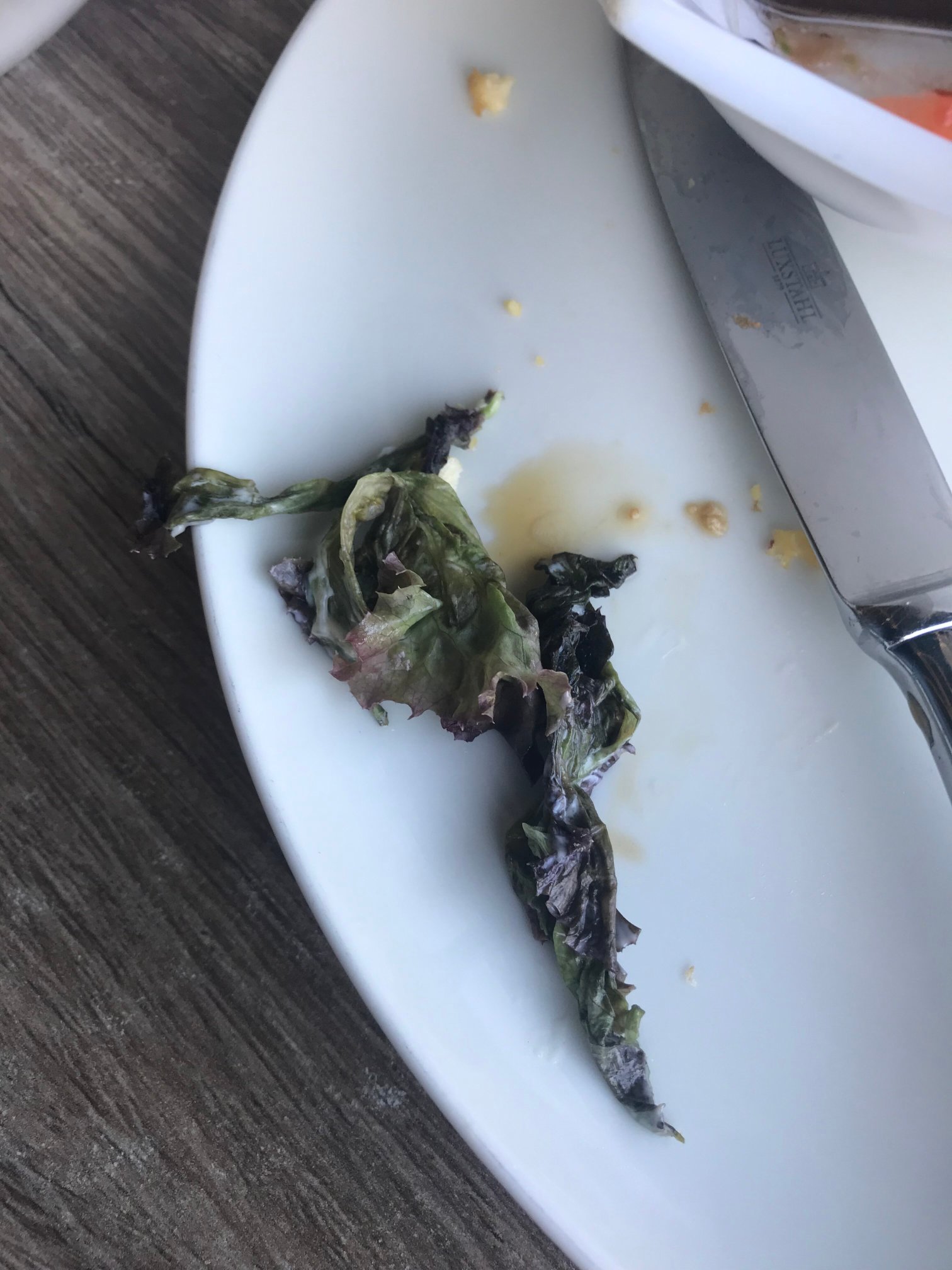 Jardin Park Hotel-官方