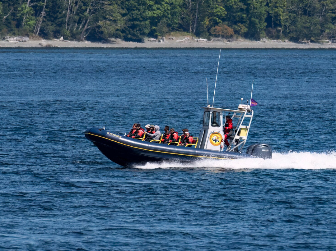 Eagle Eye Adventures-坎贝尔里弗必去景点