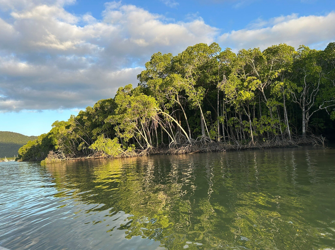 Cairns Private Transfers-道格拉斯港必去景点