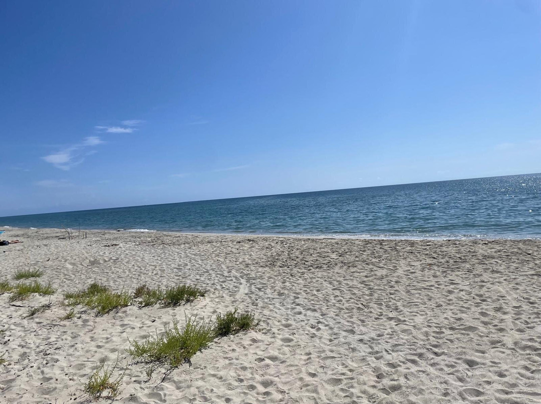 Fun Orizonte-Ghisonaccia必去景点