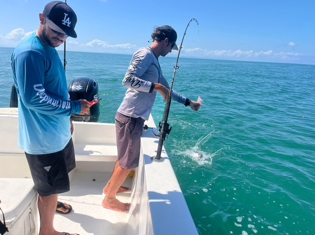 Dolphin Tours-乌维塔必去景点