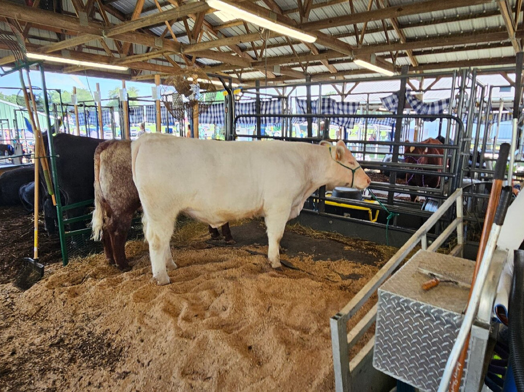 Harford County Farm Fair-Bel Air必去景点