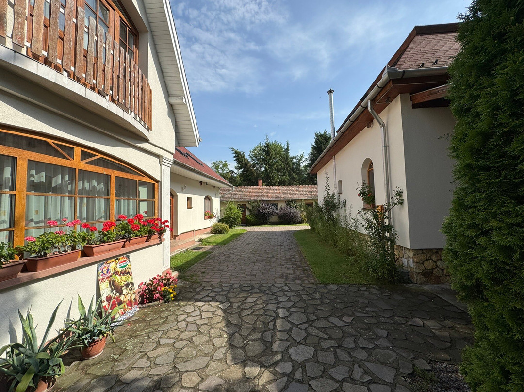 Aranybanya Hotel主图