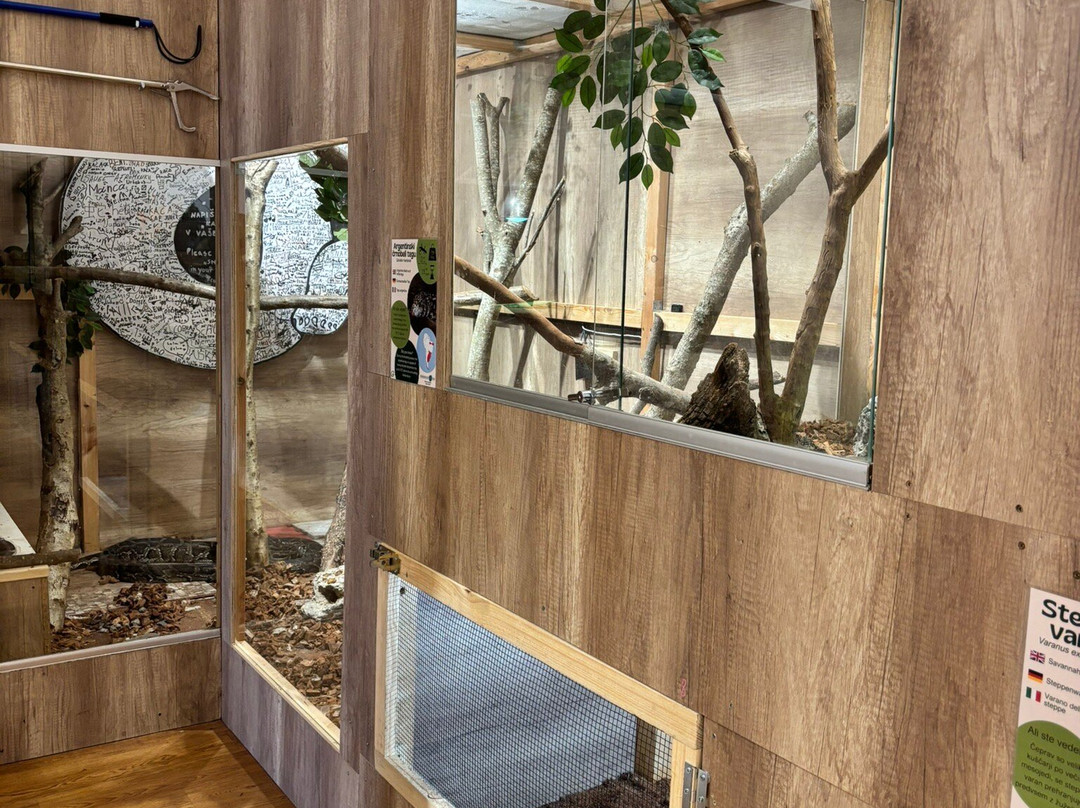 Magical Beasts-布莱德必去景点