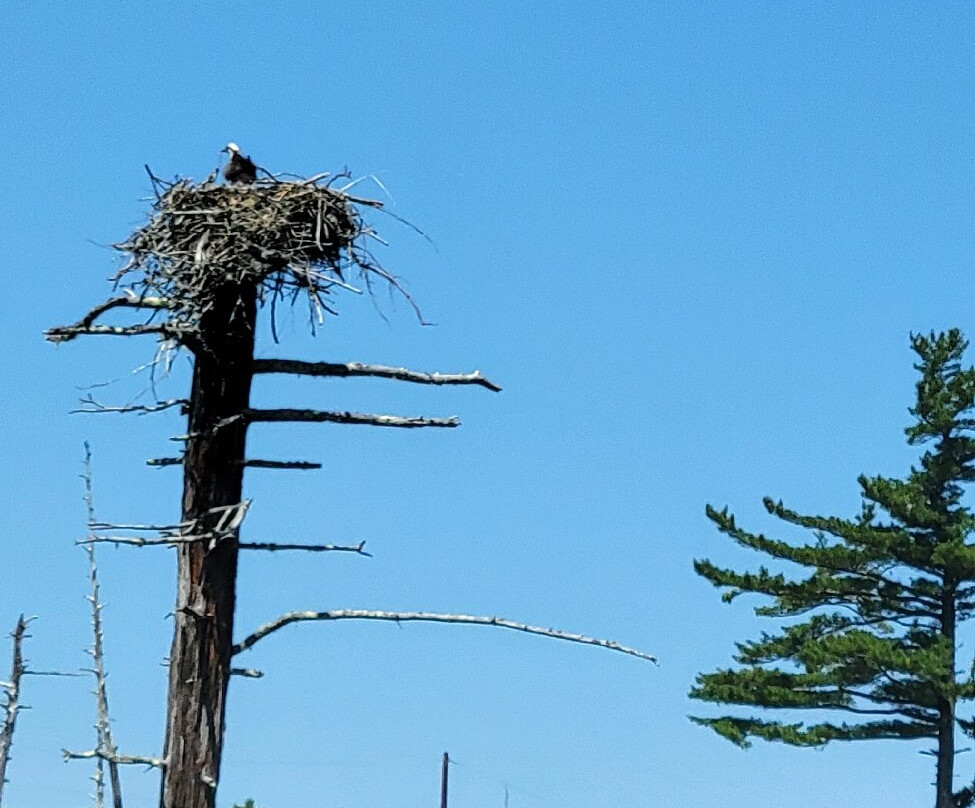 Downeast Scenic Railroad-埃尔斯沃斯必去景点
