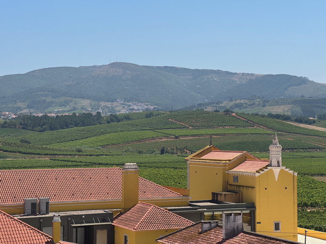 Quinta do Gradil Wine Tourism-Cadaval必去景点